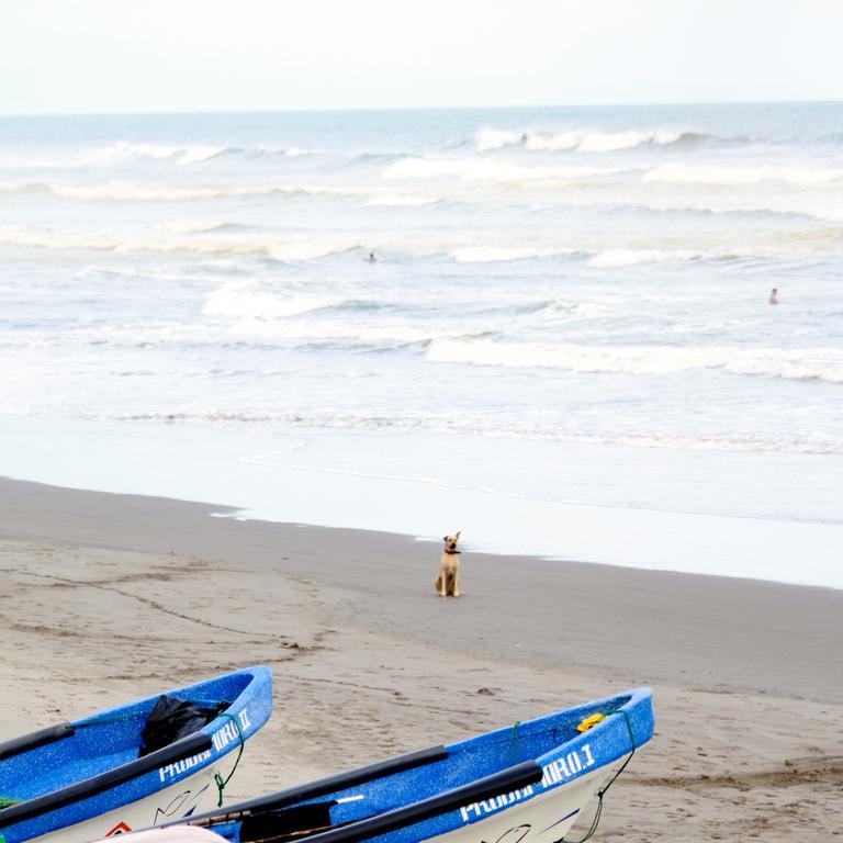 埃尔库科 Azul Surf Club酒店 外观 照片